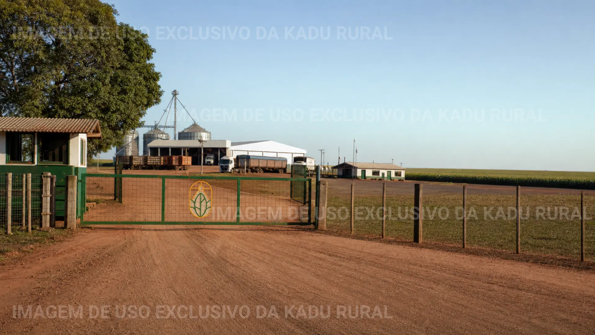 Um sonho realizado